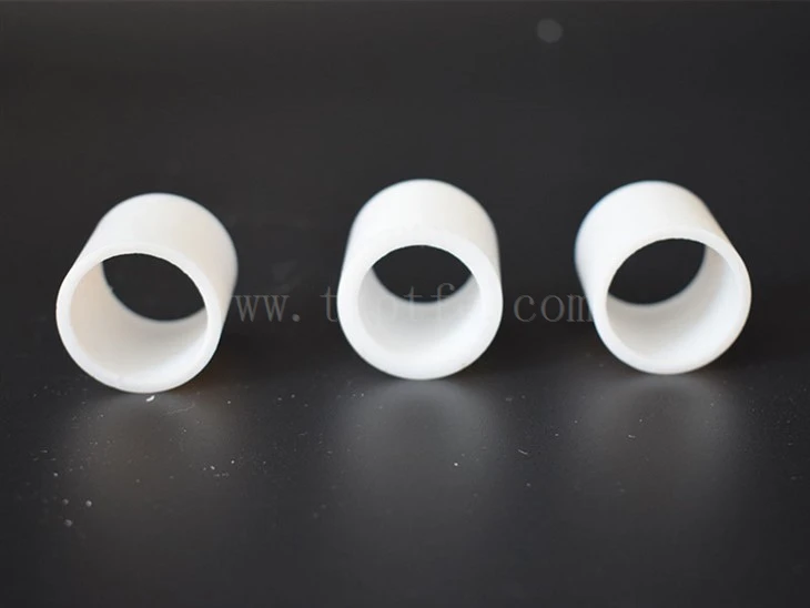 Ptfe White Raschig Ring